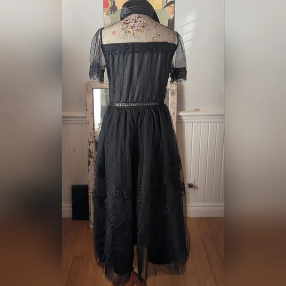 Elegant Black Sheer Dress - Picture 5 of 10